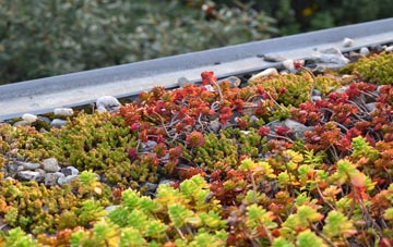 the cost of Church green roof installation